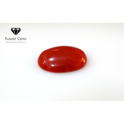 Red coral in urdu 2025